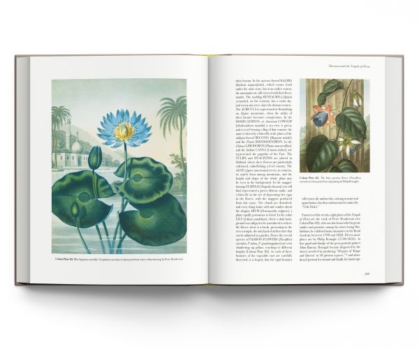 Book cover of The Art of Botanical Illustration, featuring a night blooming cactus flower with white and orange petals. Published by ACC Art Books.