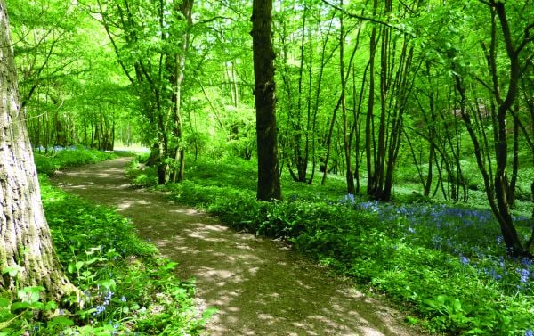 Book cover of Where the Wildness Pleases, featuring a the Tudor house of Great Dixter, with Art and Crafts garden. Published by ACC Art Books.
