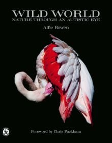 Pink flamingo preening feathers, on black cover of 'Wild World, Nature through an autistic eye', by ACC Art Books.