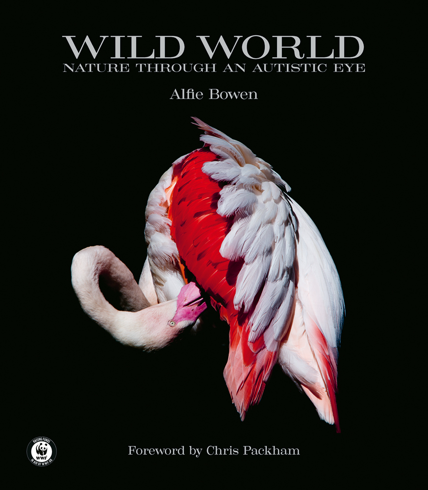 Pink flamingo preening feathers, on black cover, WILD WORLD NATURE THROUGH AN AUTISTIC EYE in solver font above.