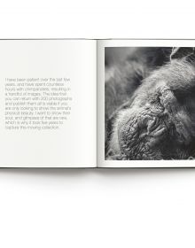Book cover of Wild World, Nature through an autistic eye, featuring a pink flamingo preening its feathers. Published by ACC Art Books.