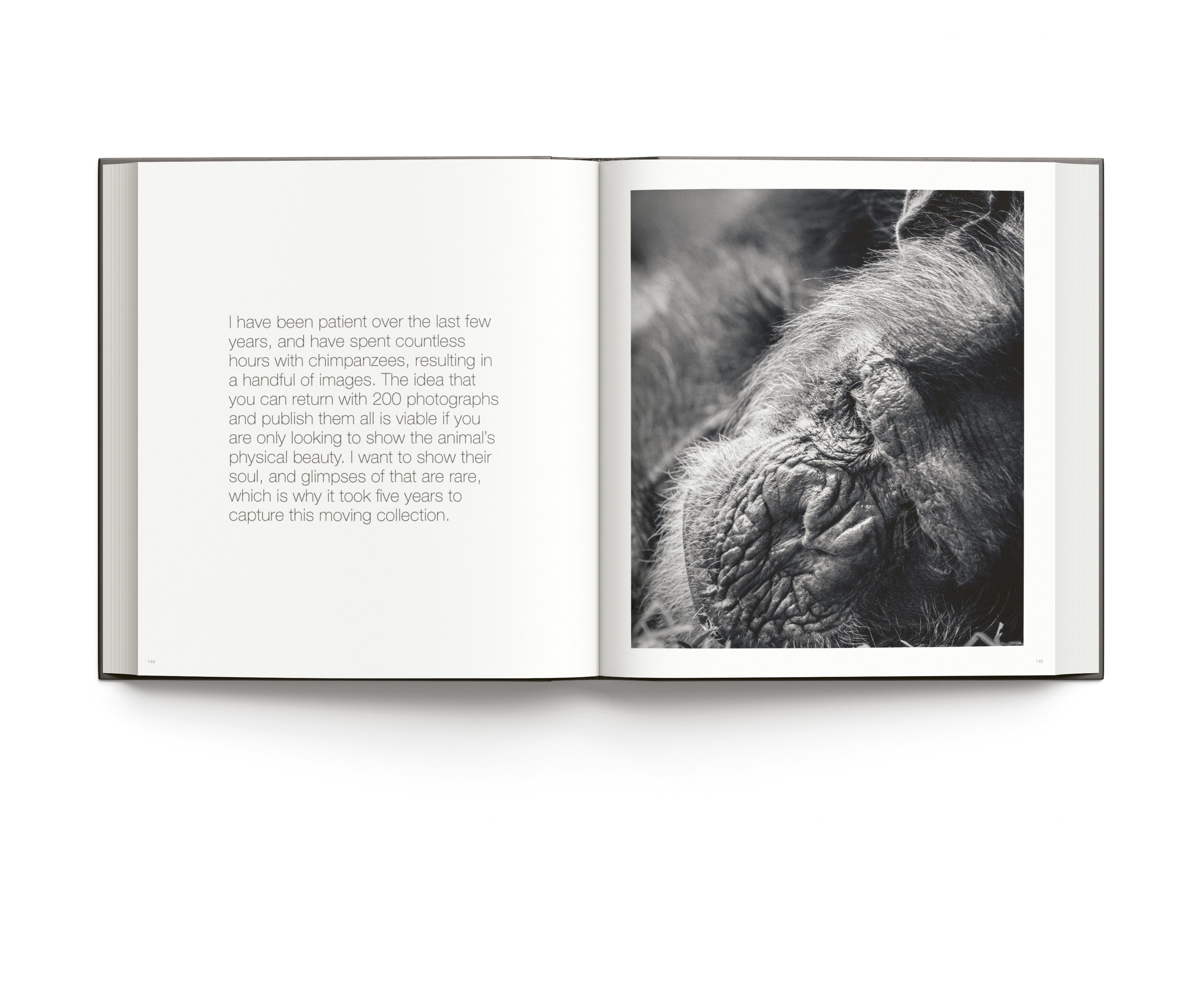 Book cover of Wild World, Nature through an autistic eye, featuring a pink flamingo preening its feathers. Published by ACC Art Books.
