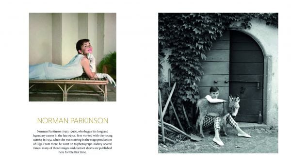 Book cover of Always Audrey: Six Iconic Photographers. One Legendary Star, featuring the actress wearing a pink dress, leaning on wall of pink bougainvillea flowers. Published by ACC Art Books.