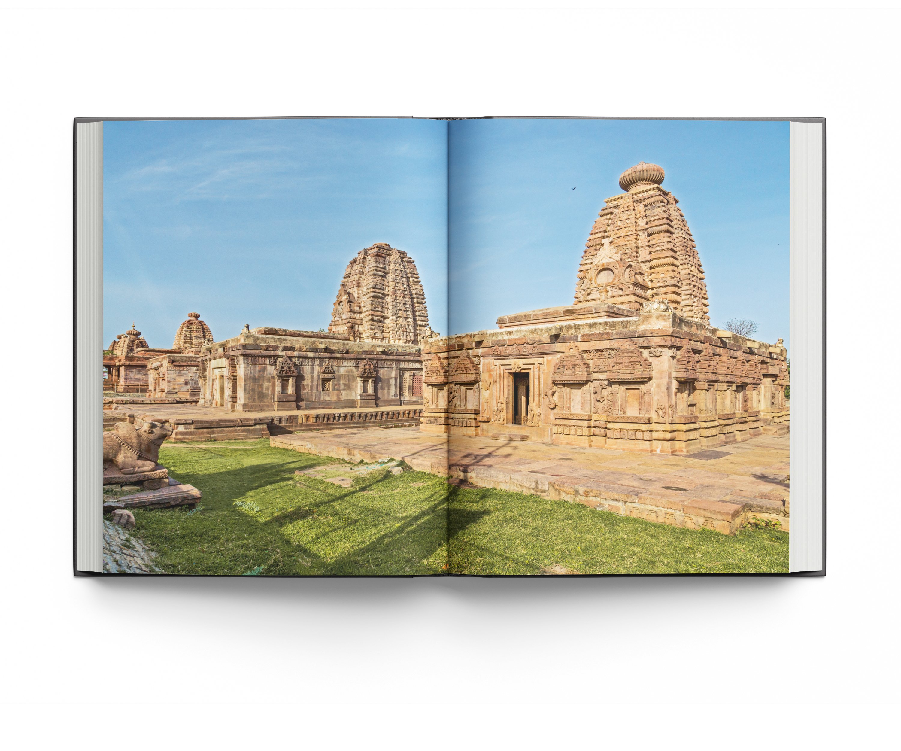 Carved interior of Deccan temple, shrine through entrance, on cover of 'Temples of Deccan India', by ACC Art Books.