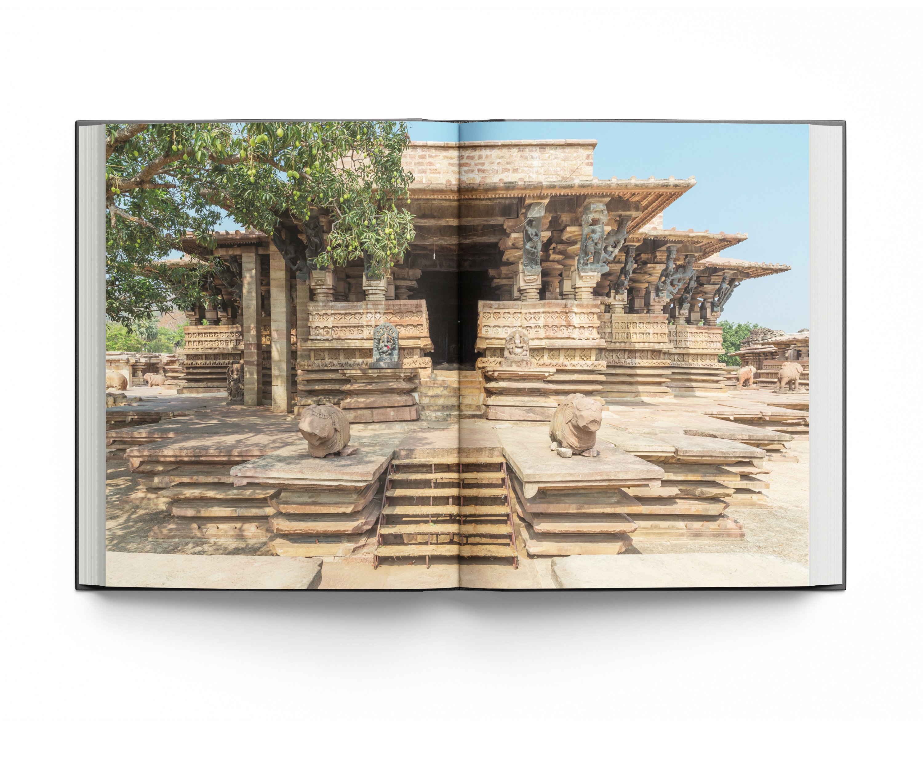 Carved interior of Deccan temple, shrine through entrance, on cover of 'Temples of Deccan India', by ACC Art Books.