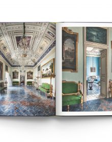 Ornate palace chair with gold swan decoration to arm, gold webbed feet, on tiled floor, on cover of 'A Palace in Sicily, A Masterpiece Restored', by ACC Art Books.