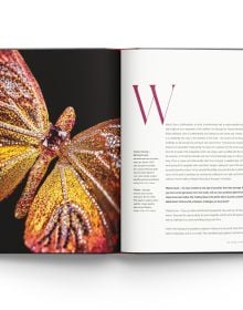 Book cover of Winged Beauty, The Butterfly Jewellery Art of Wallace Chan, with a jewelry piece made of purple feathers. by ACC Art Books.
