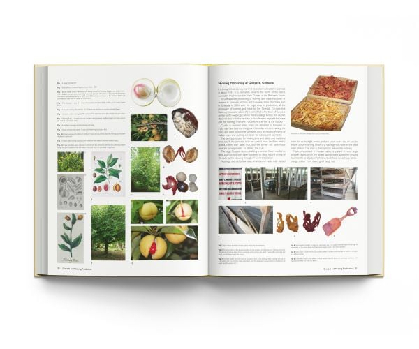 Book cover of Nutmeg Graters, Pomanders and Spice Boxes, featuring five decorative wood and metal spice graters and boxes. Published by ACC Art Books.