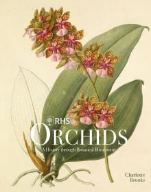 Botanical illustration of pink spotted orchid foliage and root, on cream cover of 'RHS Orchids, Charlotte Brooks, by ACC Art Books.