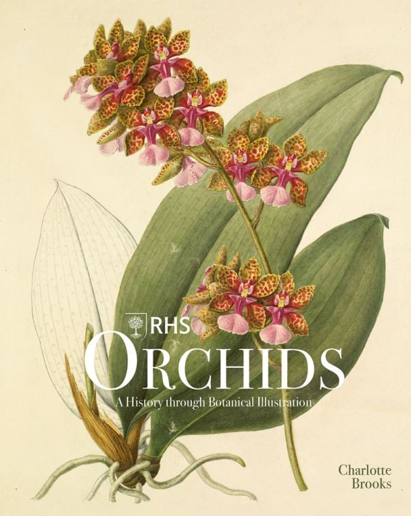 Book cover of RHS Orchids, Charlotte Brooks, featuring a botanical illustration of pink spotted orchid, with foliage and root. Published by ACC Art Books.