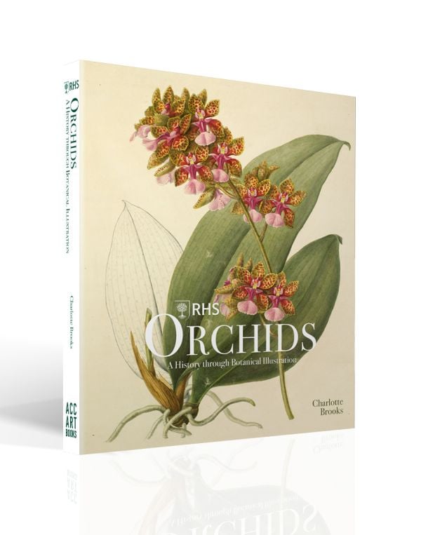 Book cover of RHS Orchids, Charlotte Brooks, featuring a botanical illustration of pink spotted orchid, with foliage and root. Published by ACC Art Books.