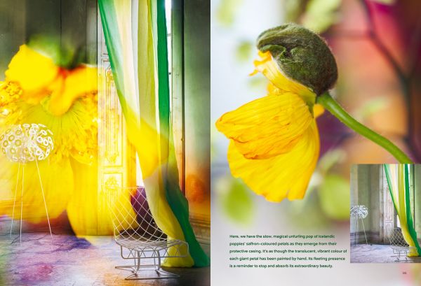 Book cover of Moody Blooms, with an interior space with blossom wallpaper, white sofa and coffee table. Published by ACC Art Books.