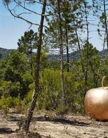 Large green apple on orange cover of 'THE APPLE IS EVERYTHING' by ACC Art Books.