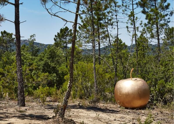 Book cover of The Apple is Everything, with a large green apple. Published by ACC Art Books.