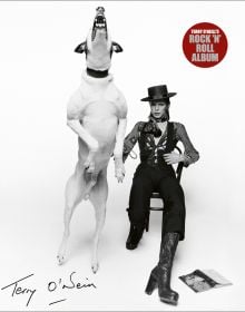 Book cover of Terry O'Neill's Rock 'n' Roll Album', with a promo shot of David Bowie, Diamond Dogs, London, 1974. Published by ACC Art Books.