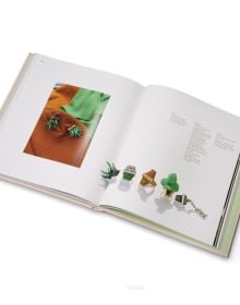 Book cover of Cora Sheibani, Jewels. Published by ACC Art Books.