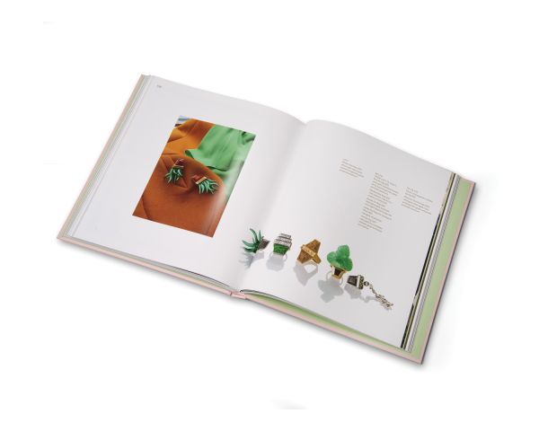 Book cover of Cora Sheibani, Jewels. Published by ACC Art Books.