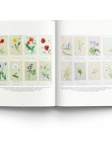 Book cover of Drawn From Nature, The Flowering of Irish Botanical Art, with a watercolour drawing of a purple Tulipa Black Parrot flower. Published by ACC Art Books.
