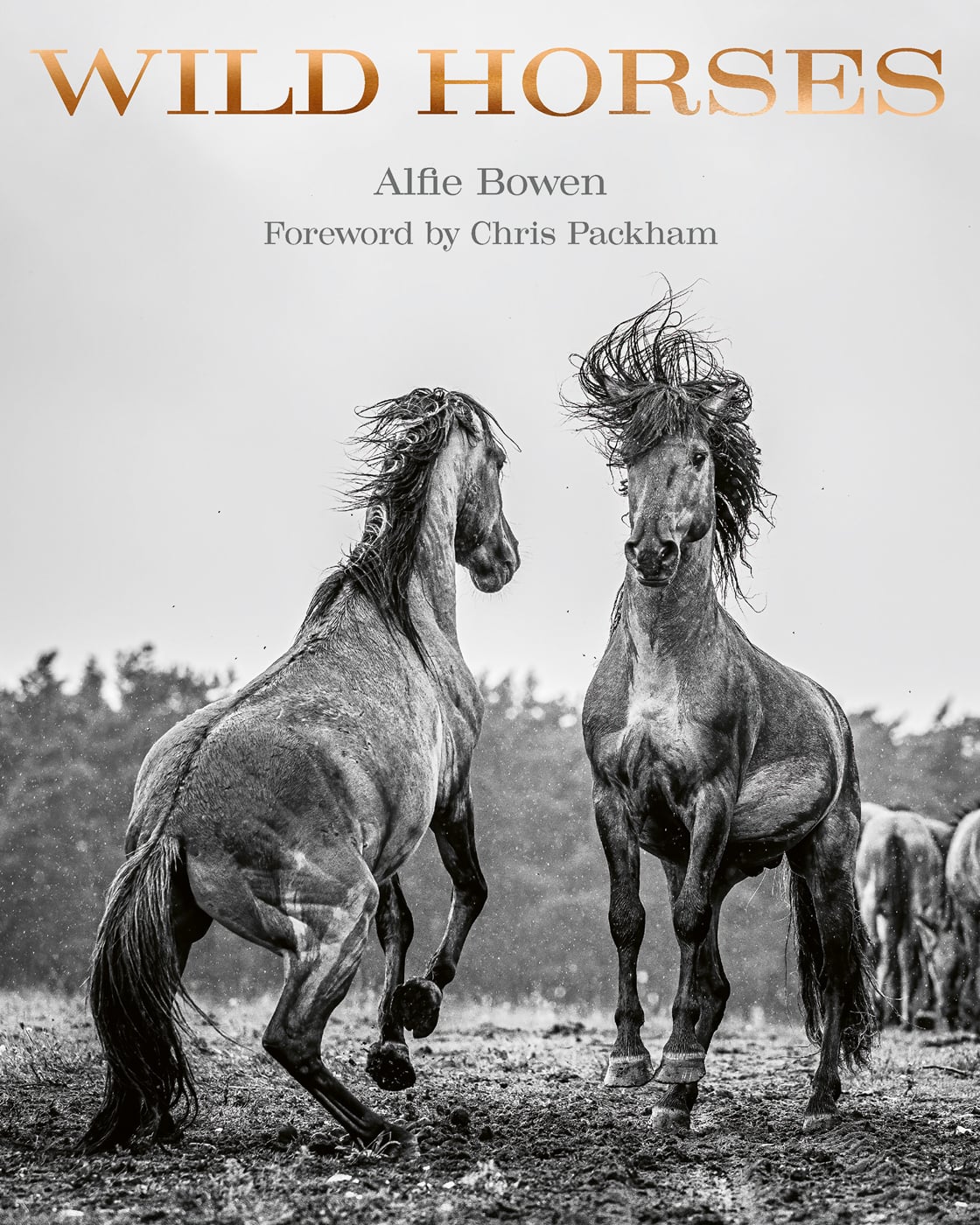Wild Horses - ACC Art Books US