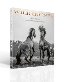 Book cover of Alfie Bowen's Wild Horses, with two horses rearing up in the mud while facing one other. Published by ACC Art Books.