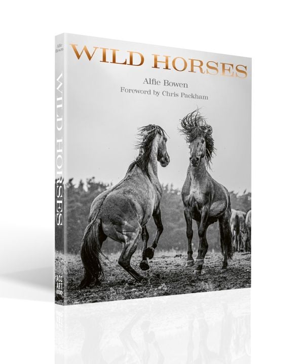 Book cover of Alfie Bowen's Wild Horses, with two horses rearing up in the mud while facing one other. Published by ACC Art Books.