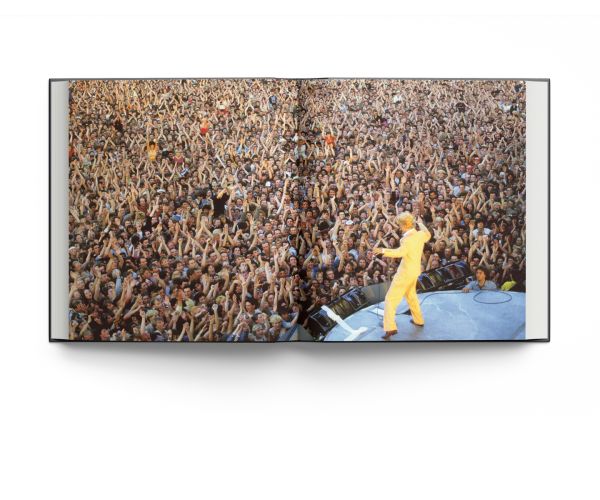 Book cover of David Bowie by Denis O'Regan; featuring Bowie with a quiff hairstyle in the 1980s. Published by ACC Art Books.