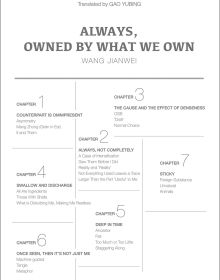 Book cover of Always, Owned by What We Own. Published by ACC Art Books.