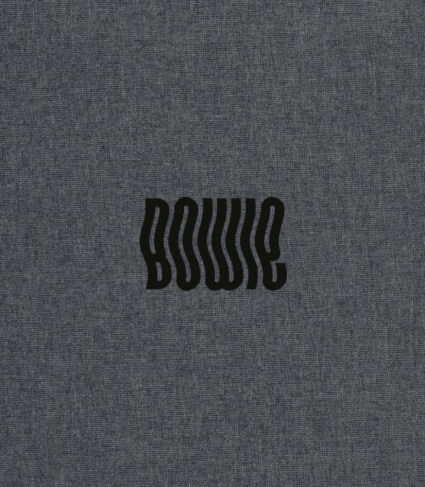 Slipcase of David Bowie by Denis O'Regan: Special Edition. Published by ACC Art Books.