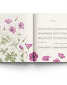RHS Botanical Illustration