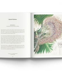 RHS Botanical Illustration