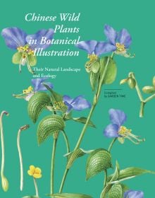 Chinese Wild Plants in Botanical Illustration 1