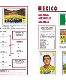 World Cup Panini Football Collections 1970-2026