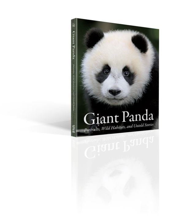 Giant Panda