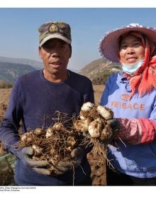 Old Road New Connections: China Builds a Different World