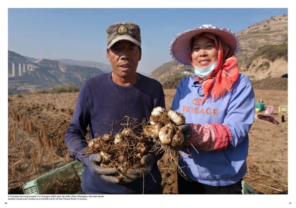 Old Road New Connections: China Builds a Different World