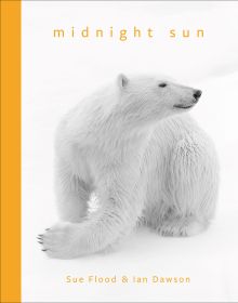 Midnight Sun