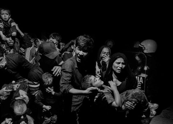 Book cover of Can We Stop Killing Each Other? Published by Kulturalis.