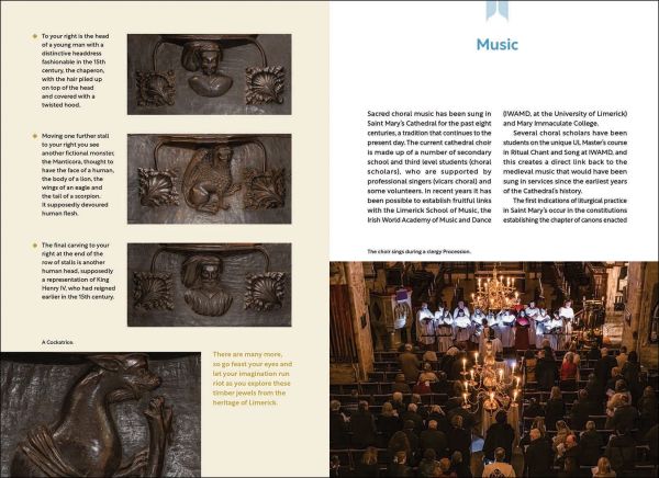 Saint Mary's Cathedral Limerick