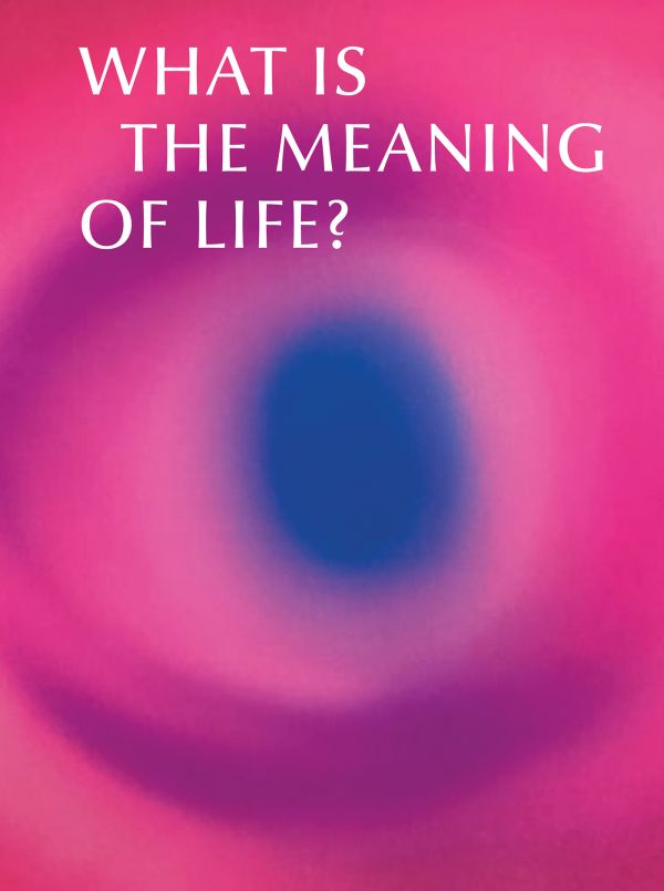 Book cover of What is the Meaning of Life? Making and Breaking the Rules We Live By. Published by Kulturalis.