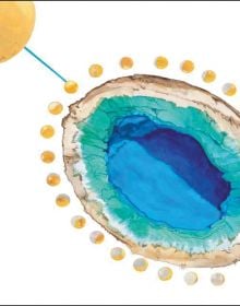 Book cover of Qismah & Naseeb. Published by Kulturalis.