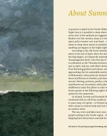 The Nordic Story