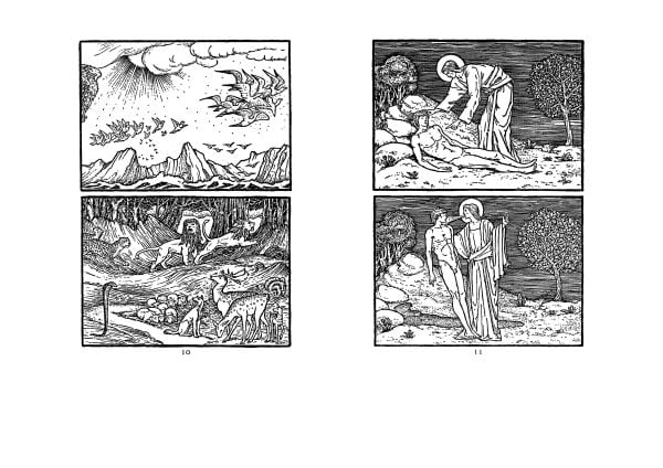 The Beginning of the World