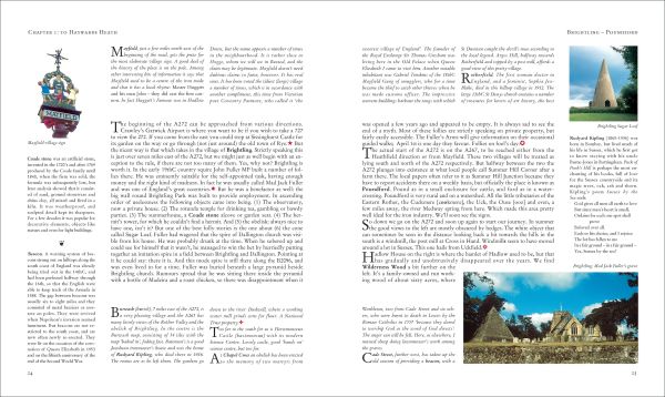 Book cover of A272-An Ode to a Road, with Pieter and Rita Boogaart walking hand-in-hand down the A272, Rita holding a large rainbow umbrella. Published by Pallas Athene.