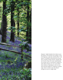 Woodland garden on cover of 'The Gardens at Brantwood, Evolution of John Ruskin's Lakeland Paradise', by Pallas Athene.