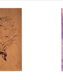 Woodland garden on cover of 'The Gardens at Brantwood, Evolution of John Ruskin's Lakeland Paradise', by Pallas Athene.