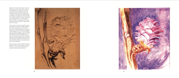 Woodland garden on cover of 'The Gardens at Brantwood, Evolution of John Ruskin's Lakeland Paradise', by Pallas Athene.