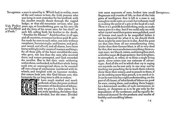 White book cover of The Nature of Gothic, featuring a decorative floral print in green. Published by Pallas Athene.