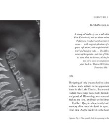 The Ruskin Revival