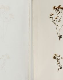 Book cover of Flora of Chamonix. Published by Pallas Athene.