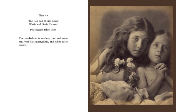 Book cover of Julia Margaret Cameron, with 19th century albumen silver print of the female photographer in Victorian dress. Published by Pallas Athene.